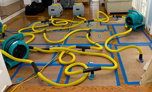 Professional Basement Flood Cleanup technician working in Baldwin, PA